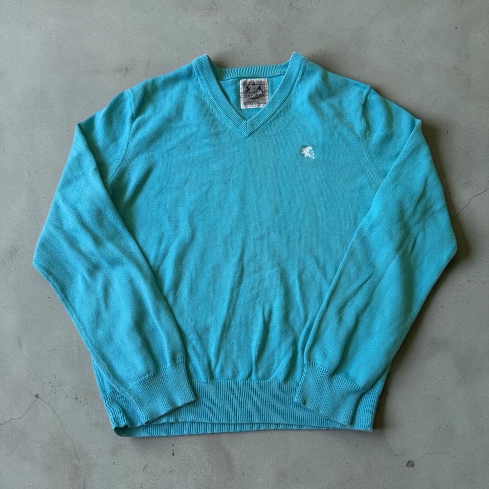 Express Mens V-Neck Sweater Turquoise Blue 100% Cotton Lion Logo Pullover Size M
